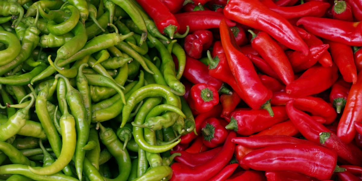 Chilli comp