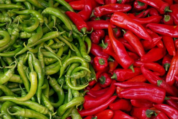 Chilli comp